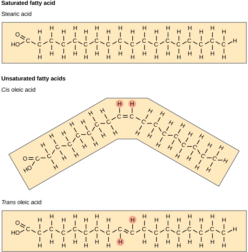 Figure 3.16: Saturated vs Unsaturated