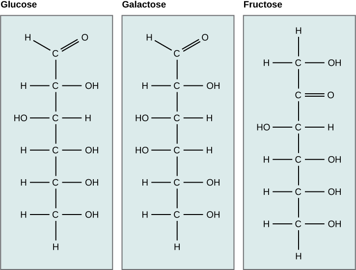 Figure 3.5: Structural Isomers